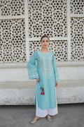RAMSHA EMB CO-ORD SET - Desi Rang