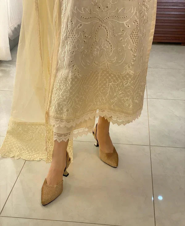 RABEEL EMB 3PC - Desi Rang