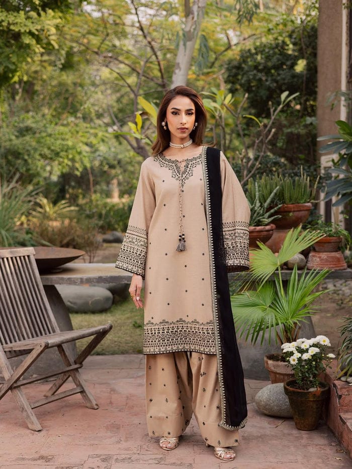 ARMAS 3PC - Desi Rang
