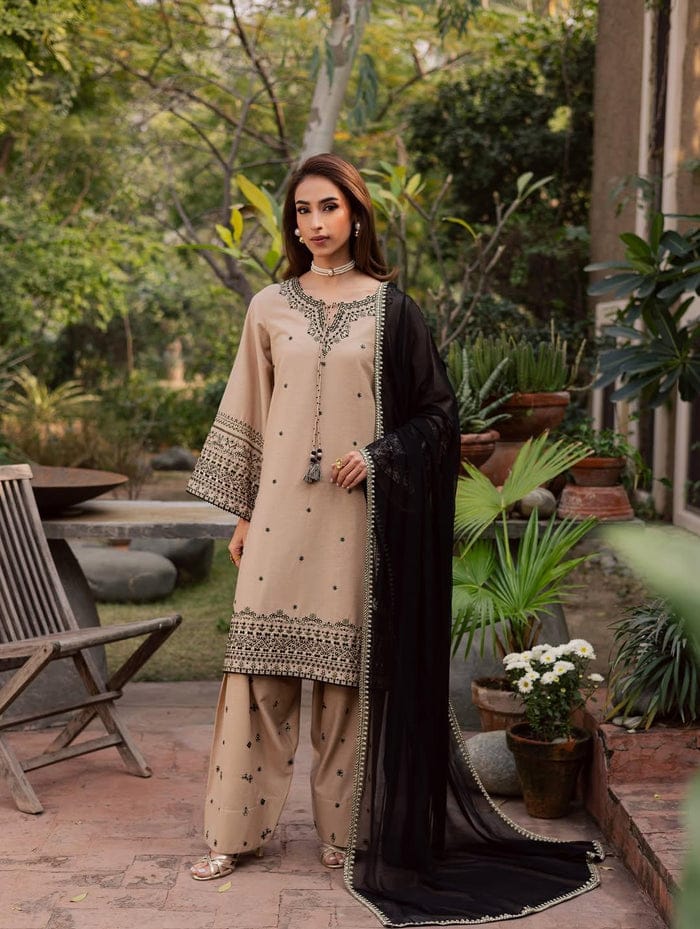 ARMAS 3PC - Desi Rang