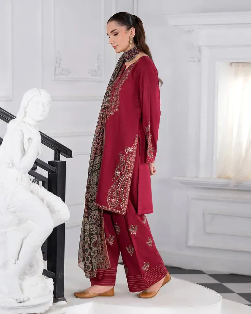 ABIRA 3PC - Desi Rang